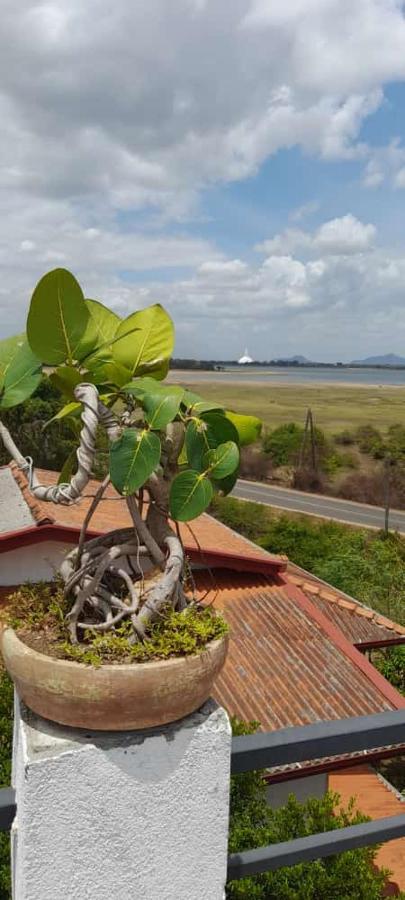 Lake Edge Resort Anuradhapura Exteriör bild