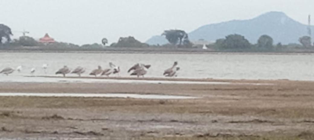 Lake Edge Resort Anuradhapura Exteriör bild
